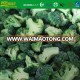 hot selling frozen iqf broccoli with market price