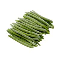 Frozen French Whole Green Beans In Sale