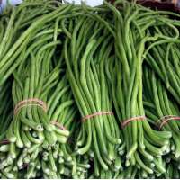 Fresh green asparagus beans